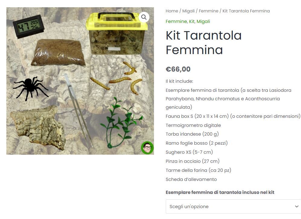 Blog di testaalessand  migaliescorpionishop.it